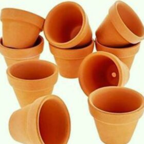 WhatsApp Image 2021 04 26 at 08.10.30