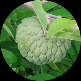 Df67dfb1 7916 48b0 b388 79185b7cc2dc