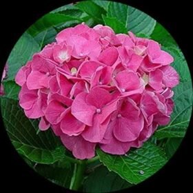 4d3d215e 3500 400c 8817 743d927f8b18