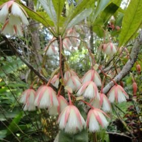 WhatsApp Image 2021 10 02 at 4.33.35 PM