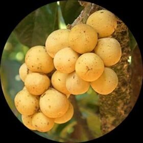 951f314c f1a3 41f1 b8bf 555dc7ada111