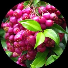 51221a4a 5d70 439d 95cc 7b3cefe90bdf