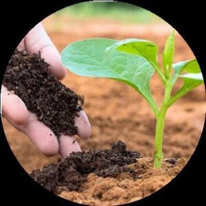 ORGANIC COMPOST AND MANURE