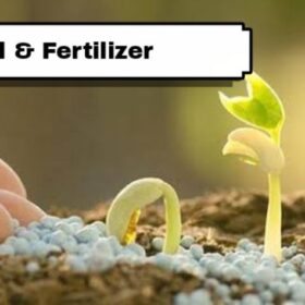 Chemical And Fertilizer