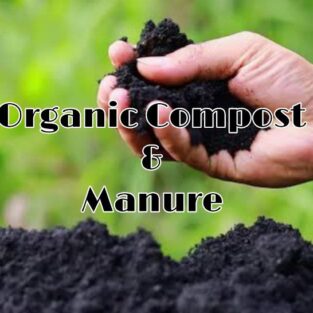Organic Compost And Manure