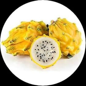 7e344654 54df 4bed b2bf c0129d5571ae