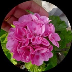 WhatsApp Image 2023 04 30 at 9.35.24 AM