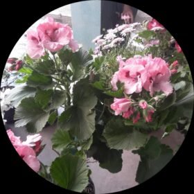 WhatsApp Image 2023 05 08 at 1.45.16 PM