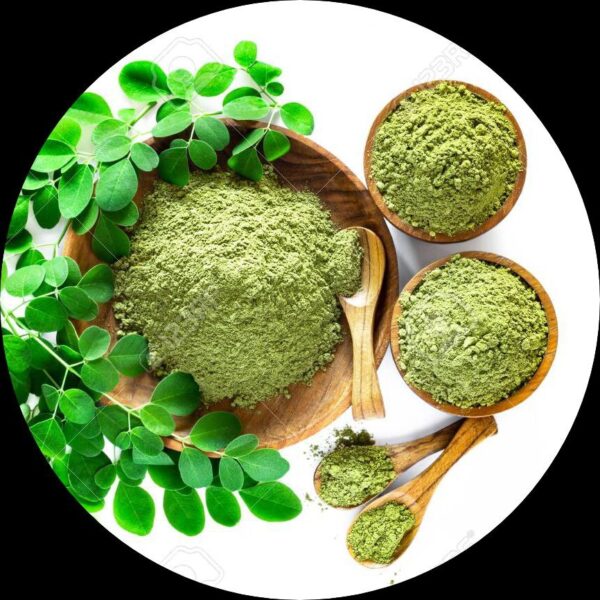 Moringa (Moringa Oleifera)