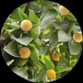 Photo 2024 08 08 06 10 12