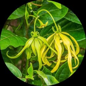 Photo 2024 08 09 00 12 18