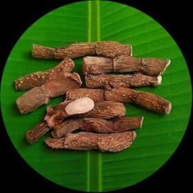 Photo 2024 08 11 20 54 21