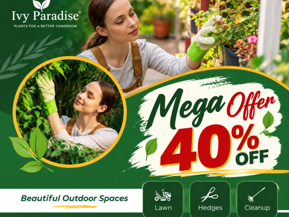 02 Mega Offer 40 4x3(1)