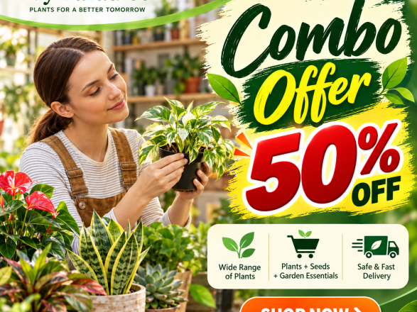 04 Combo Offer 50 4x3(1)