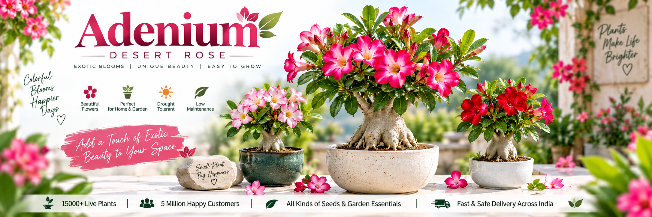 Adenium
