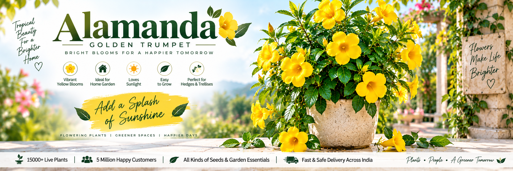 Alamanda