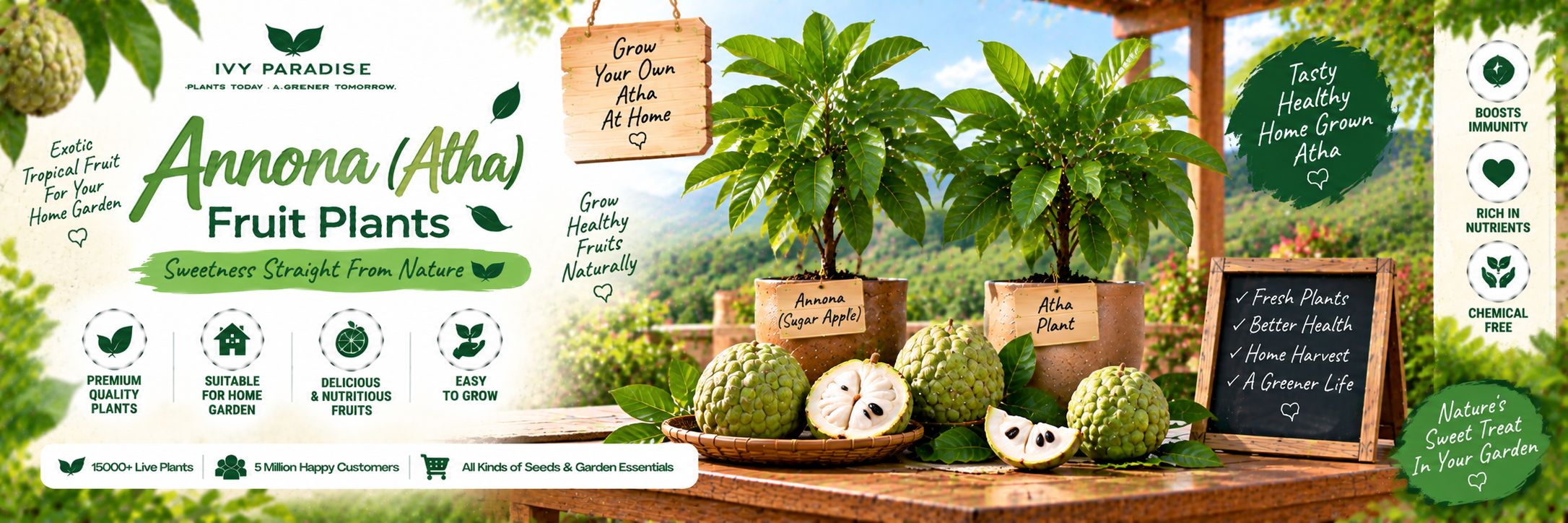 Annona (Atha)