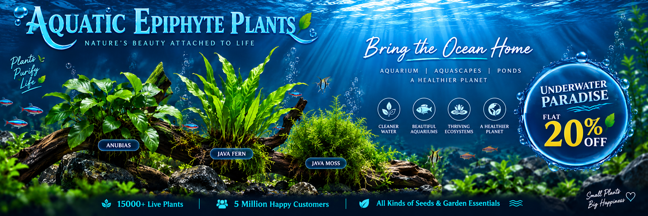 Aquatic Epiphyte Plant