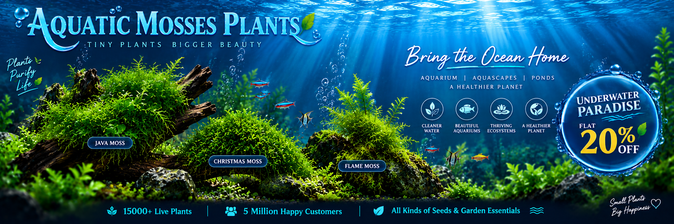 Aquatic Mosses Plant