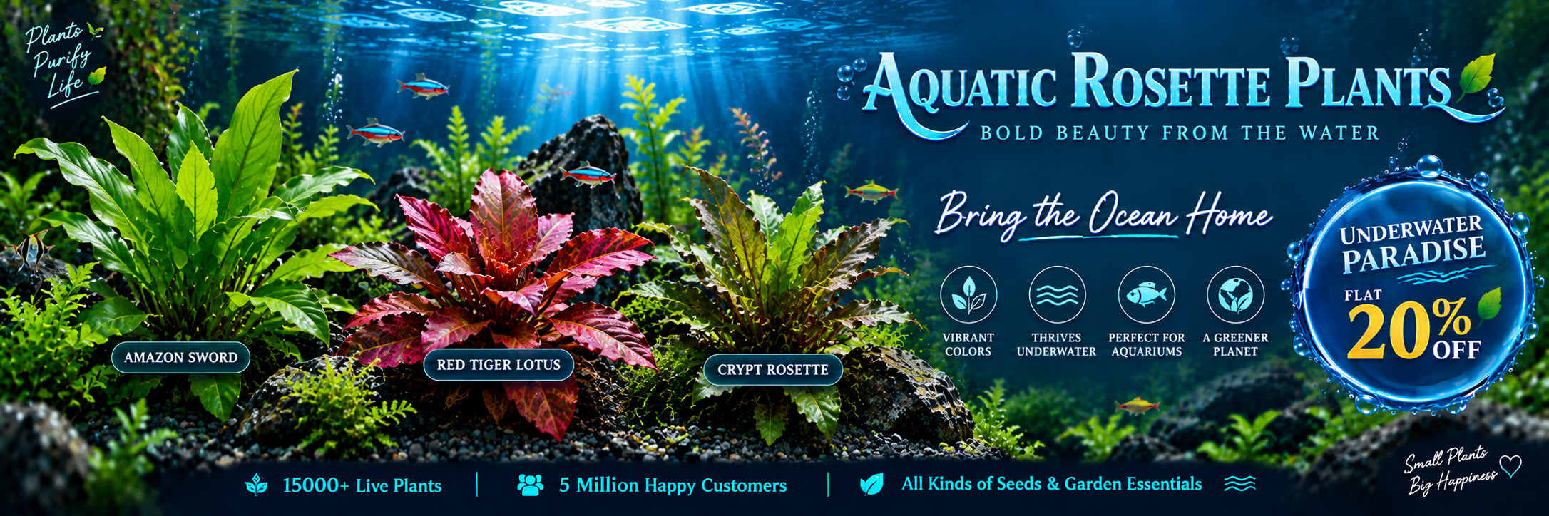 Aquatic Rosette Plant