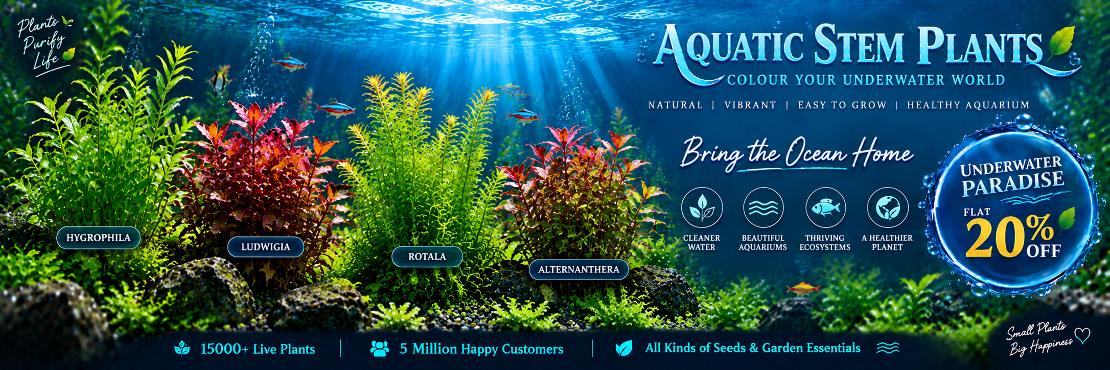 Aquatic Stem Plant