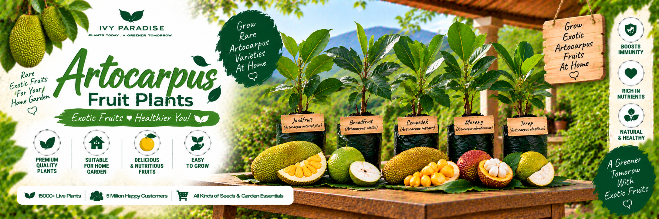Artocarpus