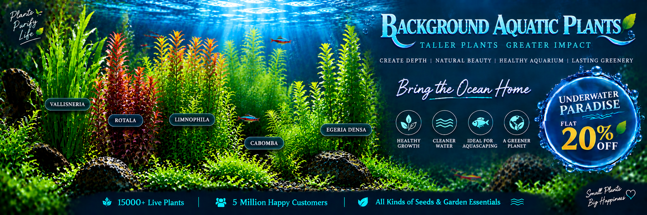 Background Aquatic Plant