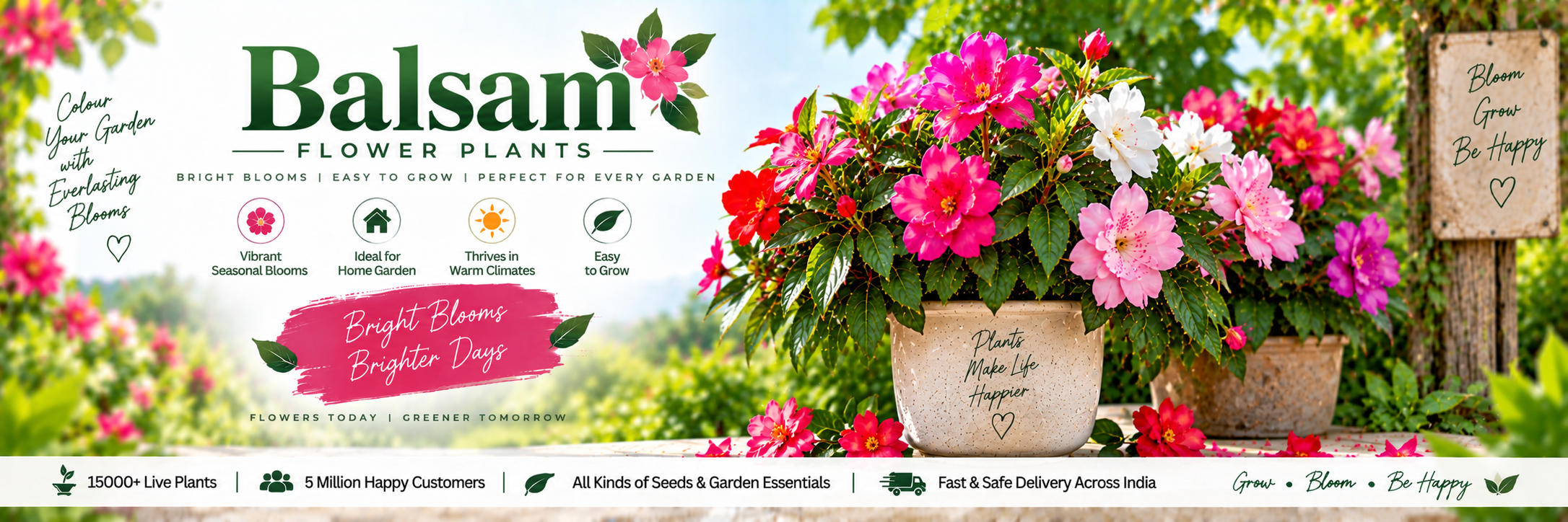 Balsam