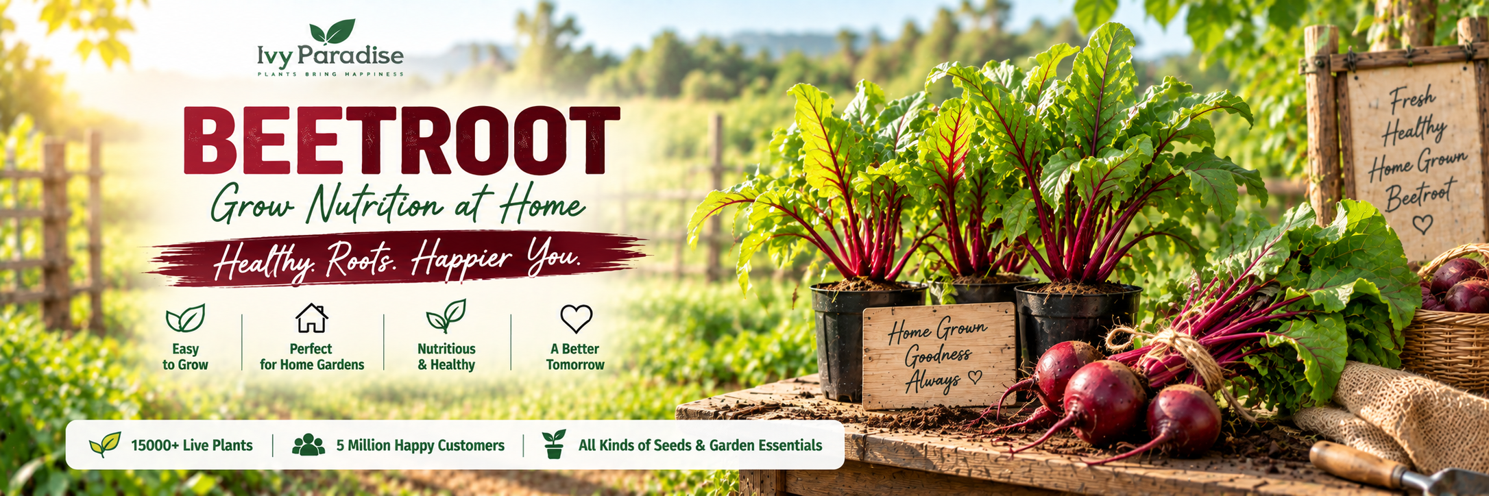 Beetroot