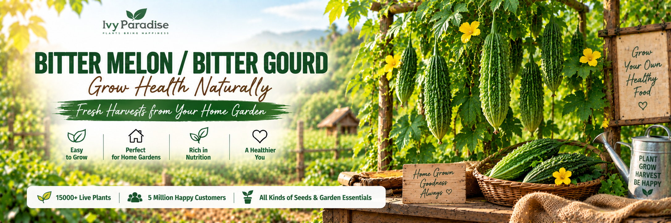 Bitter Melon / Bitter Gourd