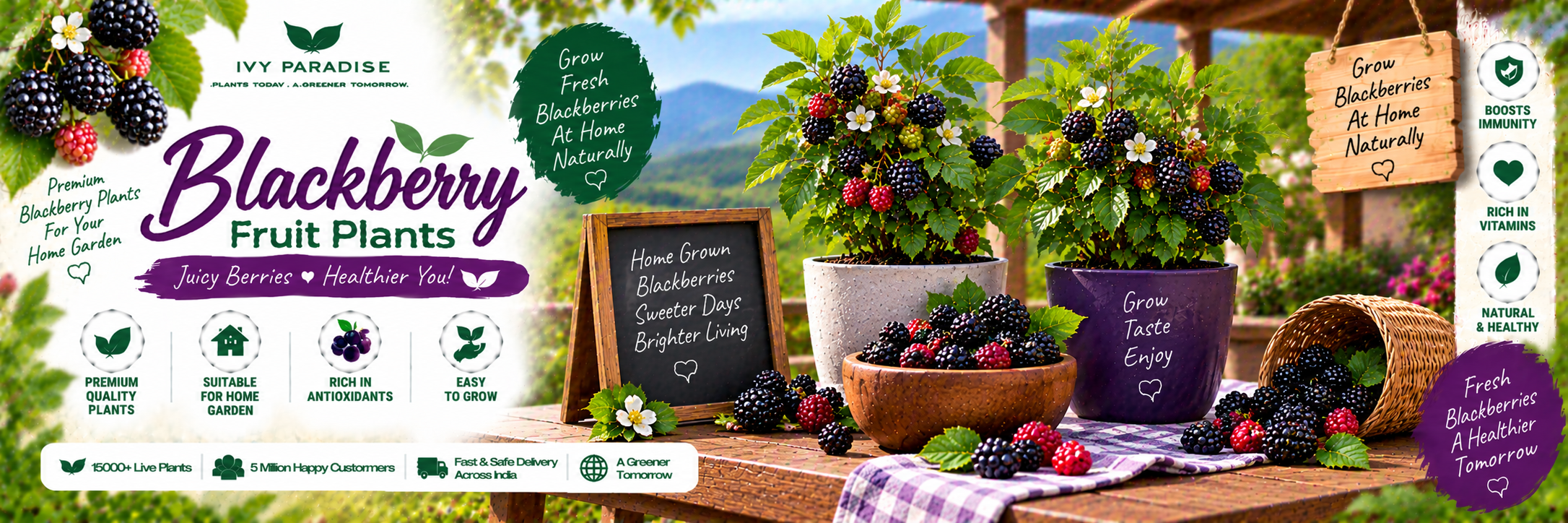 Blackberry