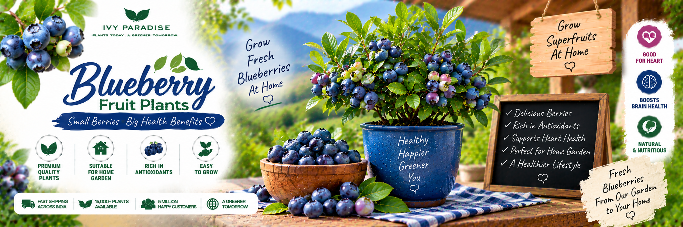 Blueberry