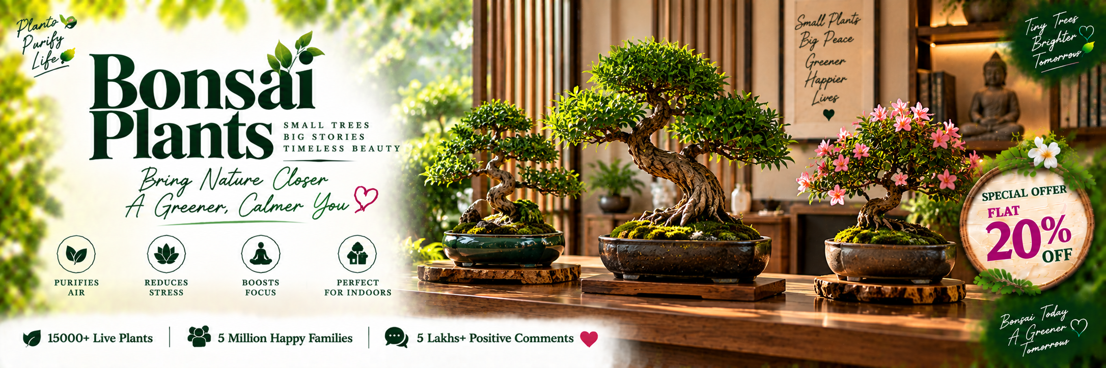 Bonsai Plants