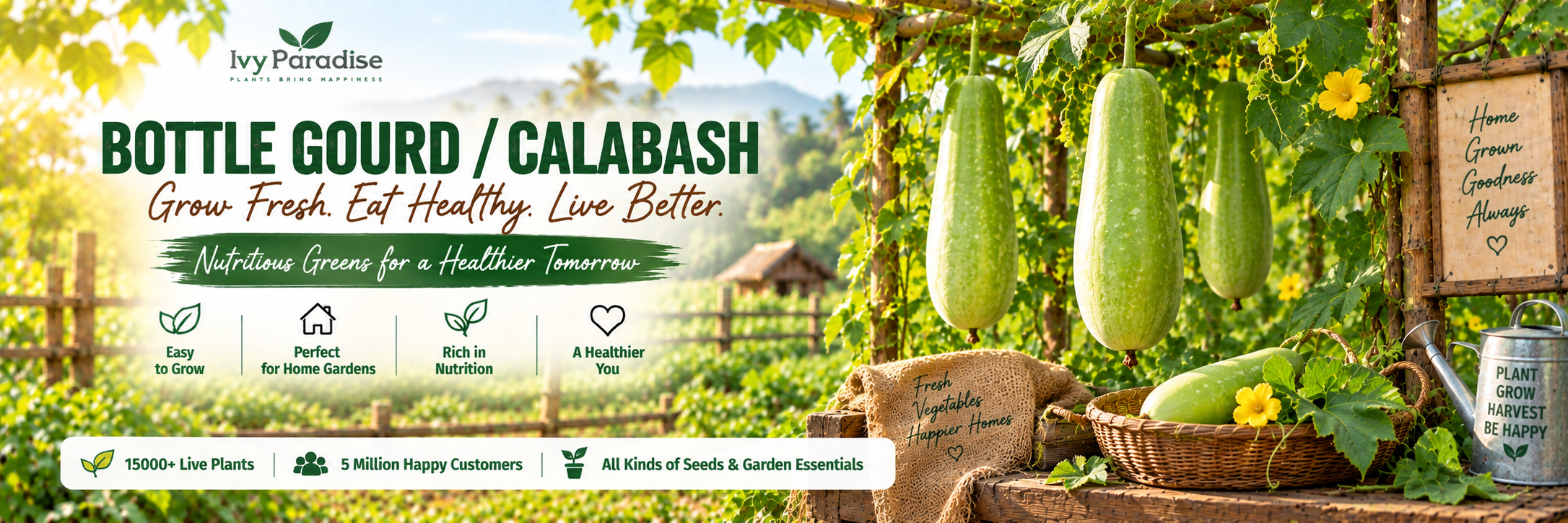 Bottle Gourd / Calabash