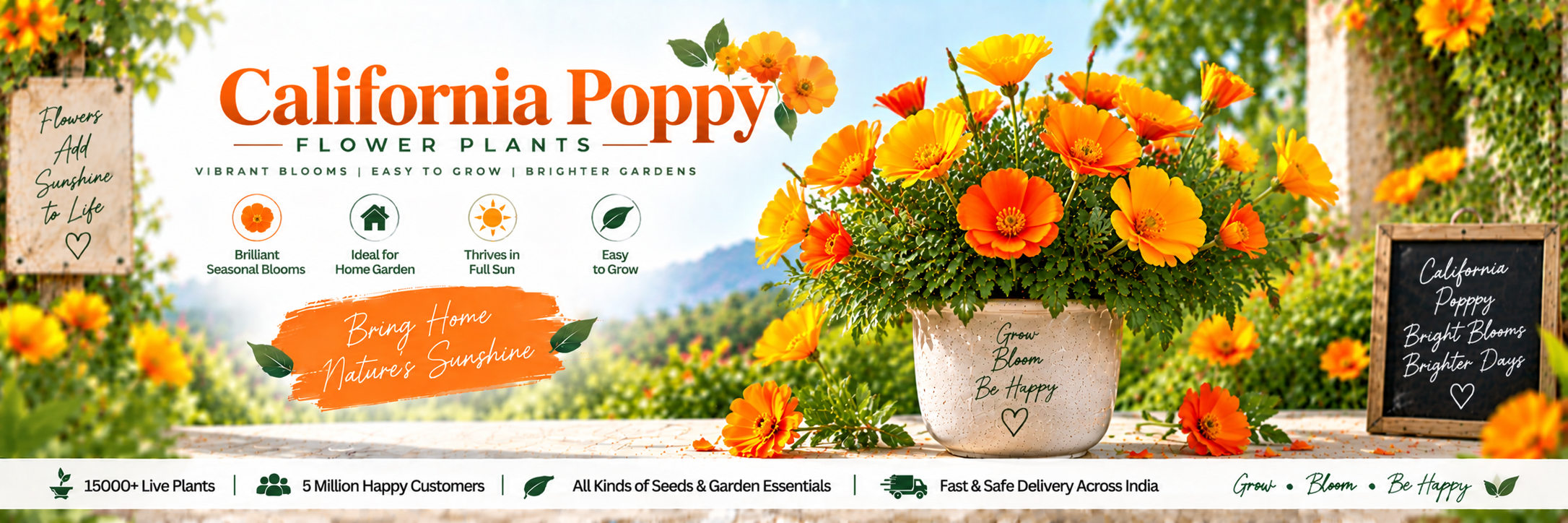 California Poppy