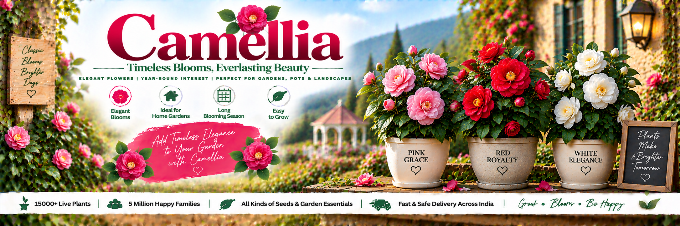 Camellia