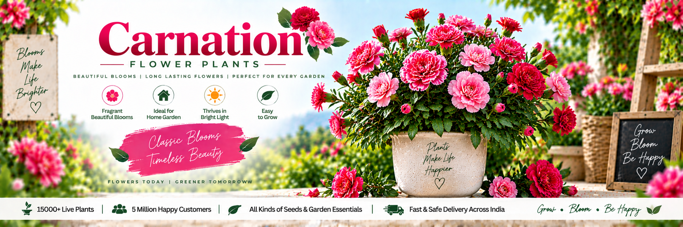 Carnation
