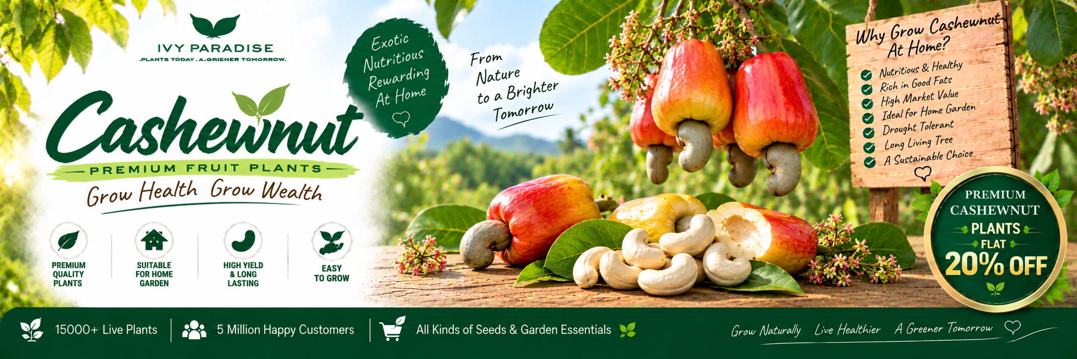 Cashewnut
