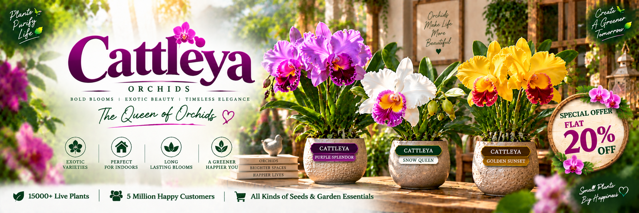 Cattleya