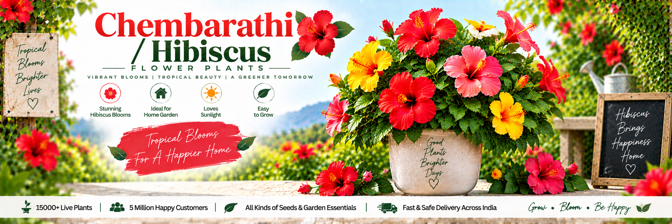 Chembarathi / Hibiscus