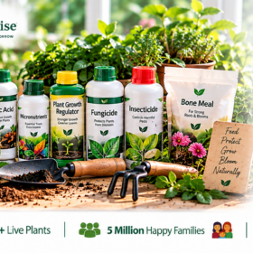 Chemical And Fertilizer