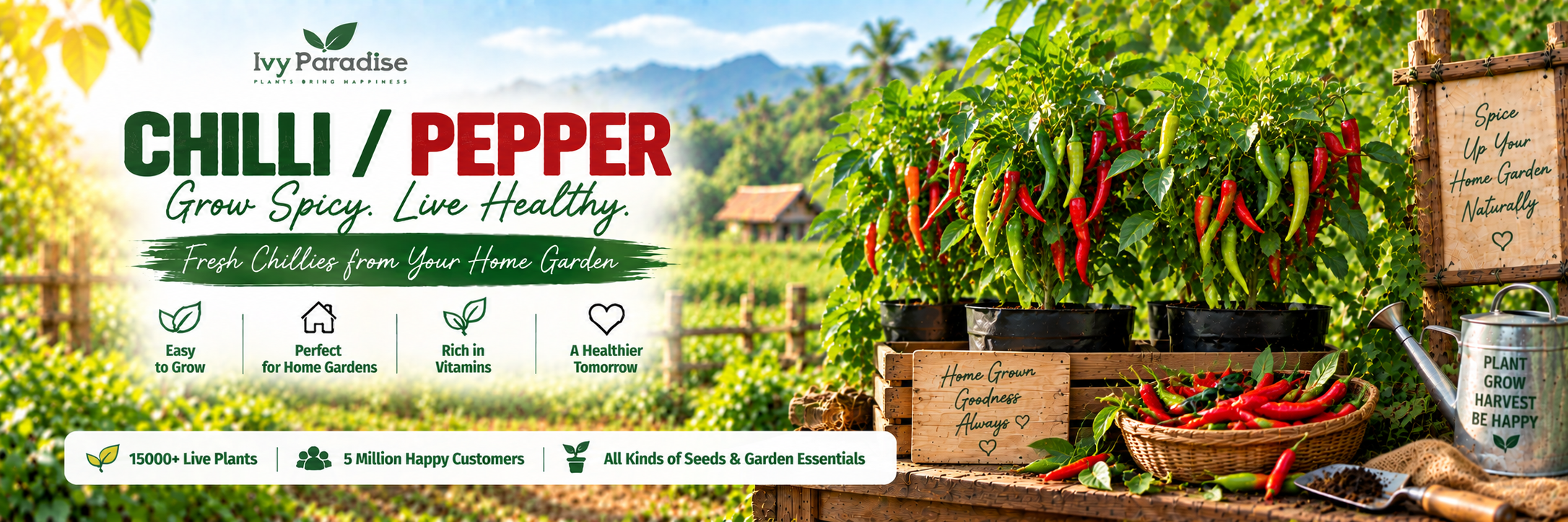 Chilli / Pepper