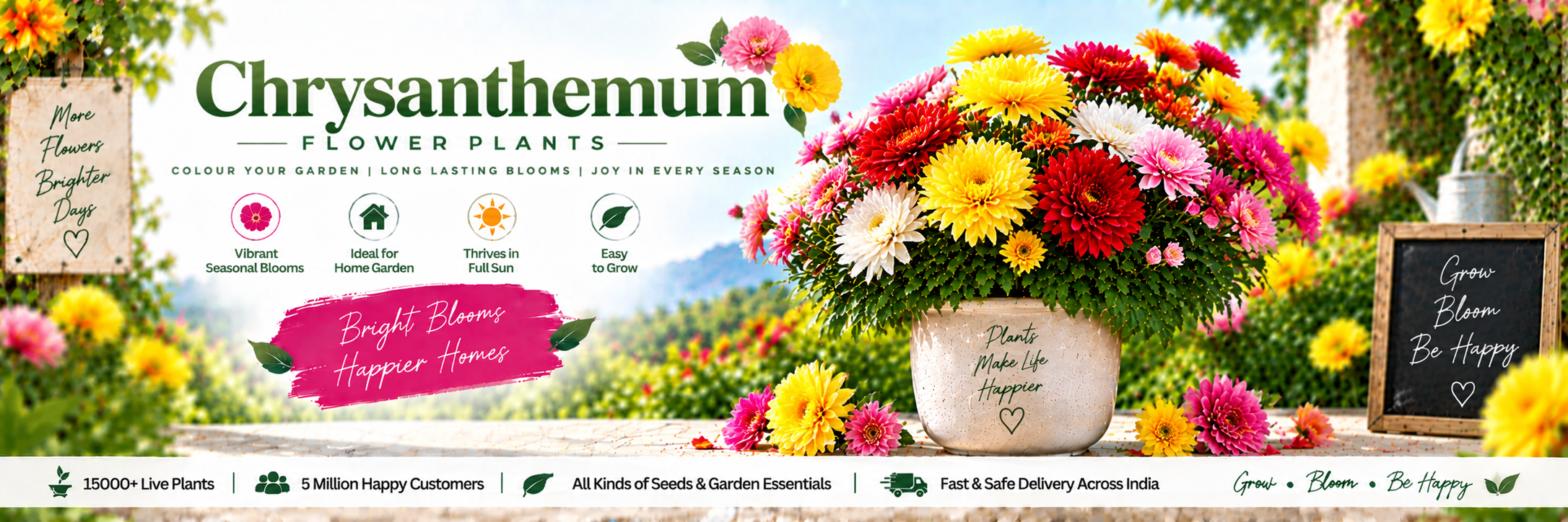 Chrysanthemum