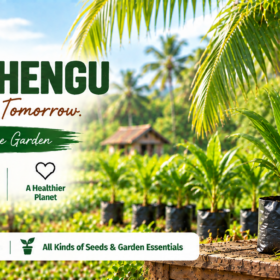 Cocunut / Thengu