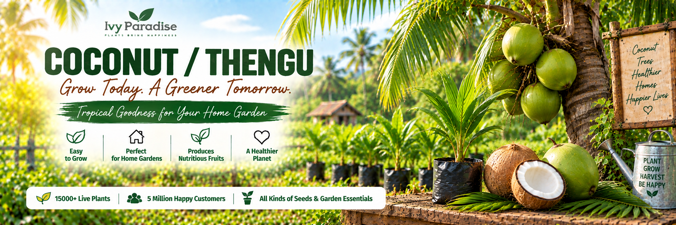 Cocunut / Thengu