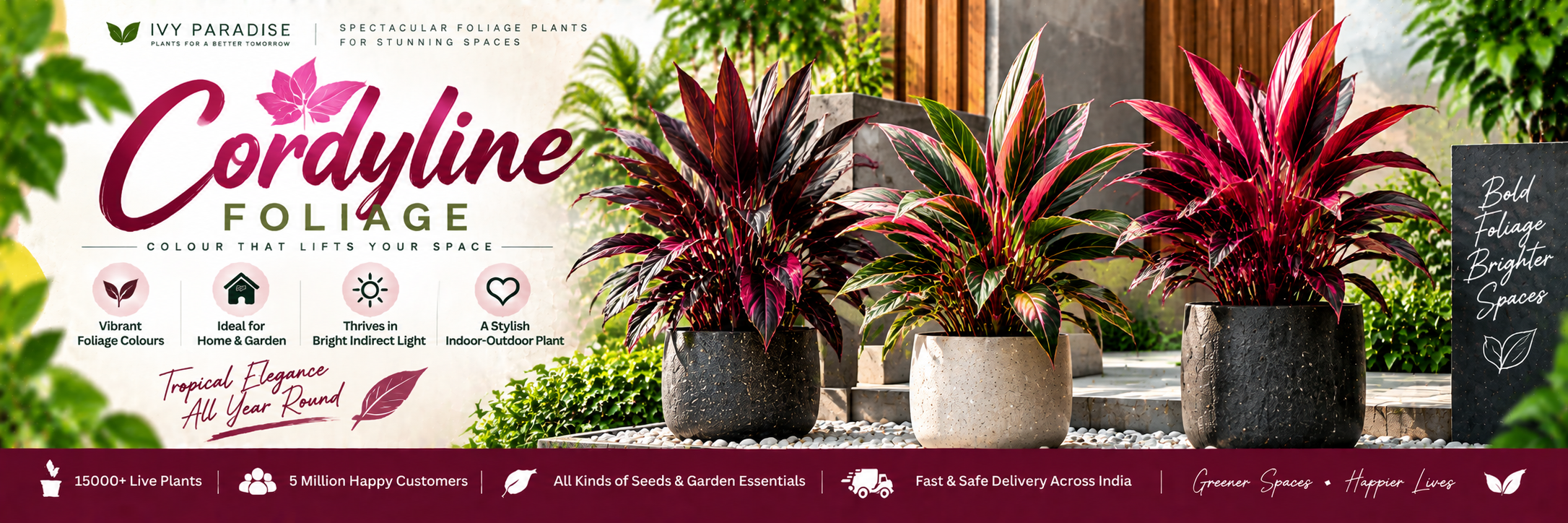 Cordyline Foliage