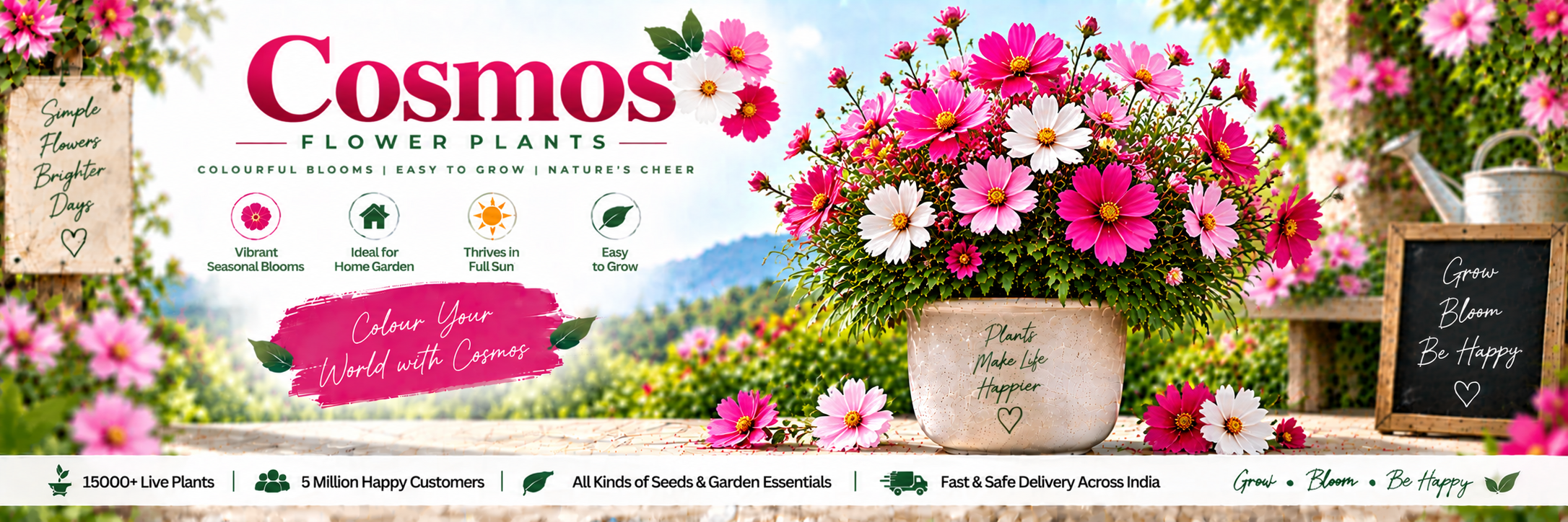 Cosmos