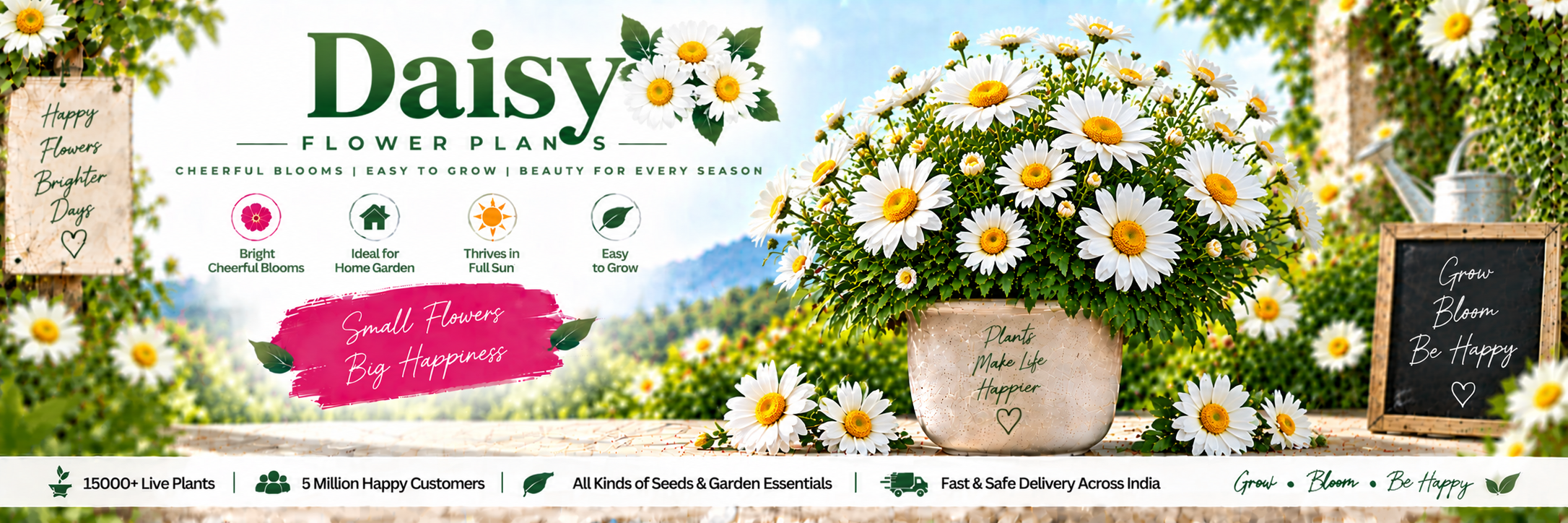 Daisy