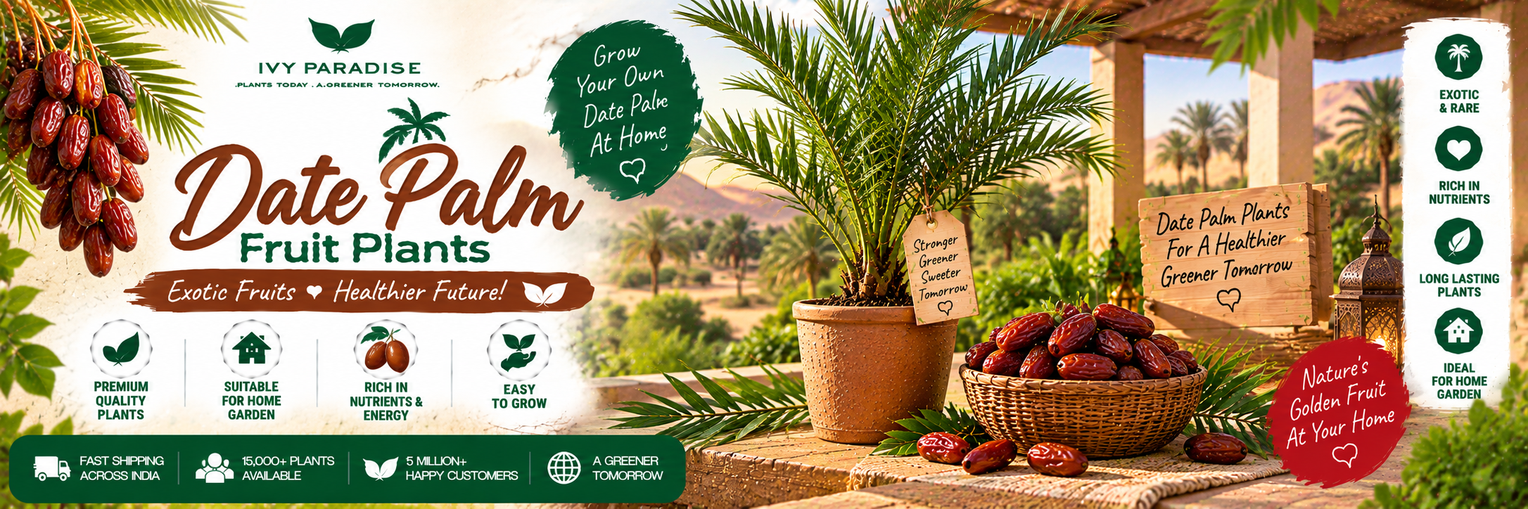 Date Palm