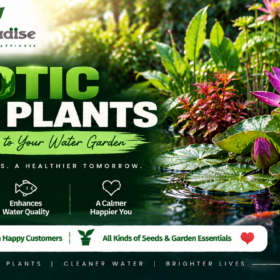 Exotic Aquatic Plants